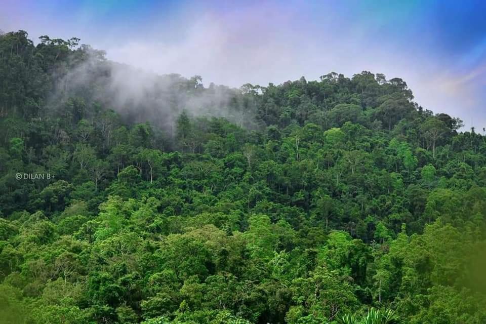 Sinharaja Forest Gate Hotell Deniyaya Exteriör bild