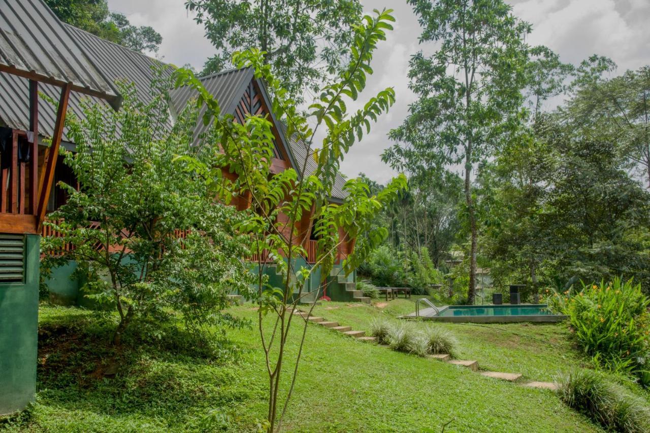 Sinharaja Forest Gate Hotell Deniyaya Exteriör bild