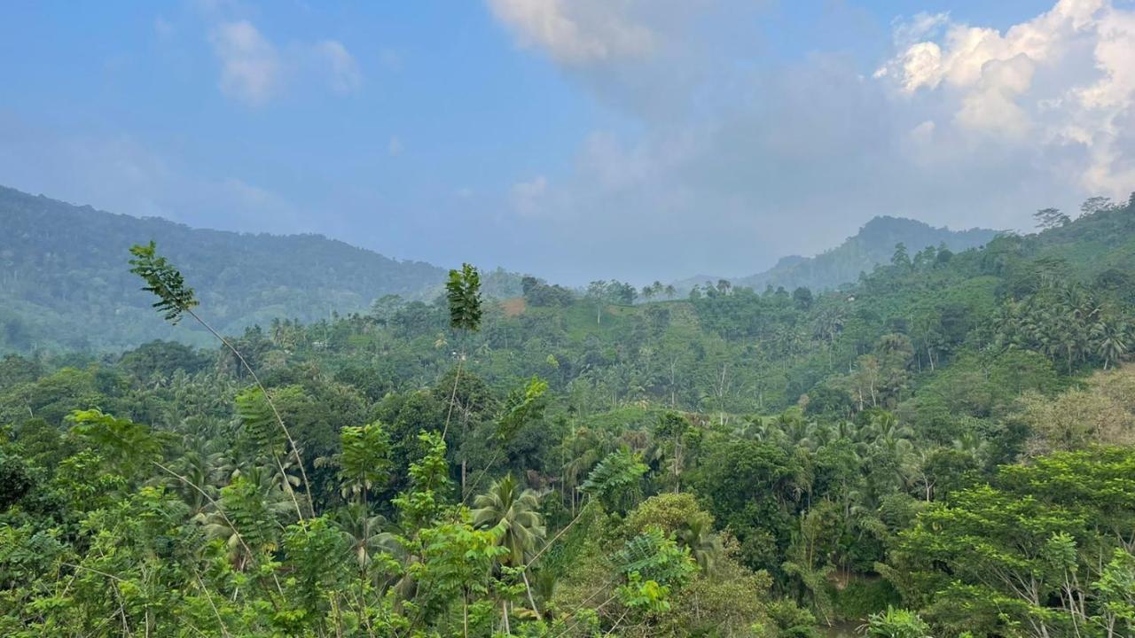 Sinharaja Forest Gate Hotell Deniyaya Exteriör bild