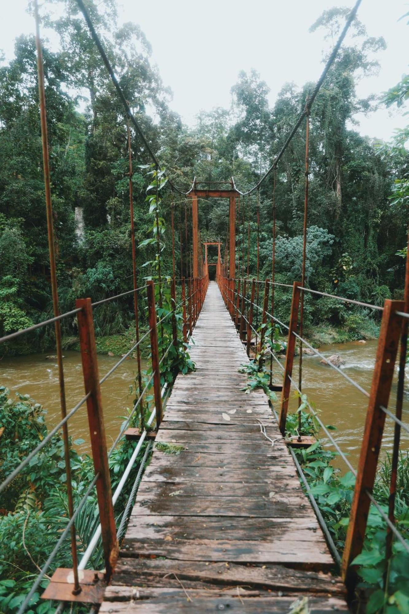 Sinharaja Forest Gate Hotell Deniyaya Exteriör bild