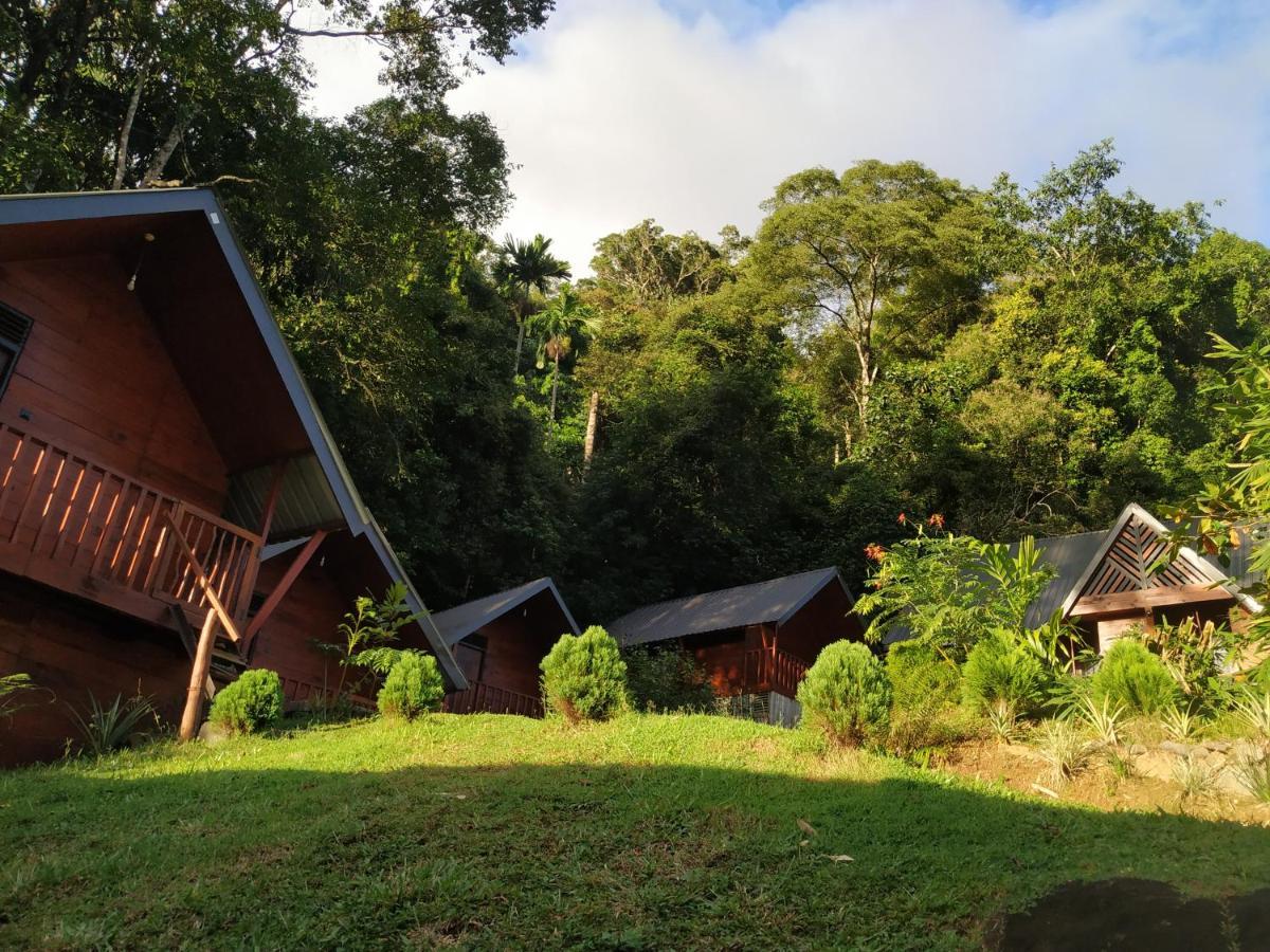 Sinharaja Forest Gate Hotell Deniyaya Exteriör bild